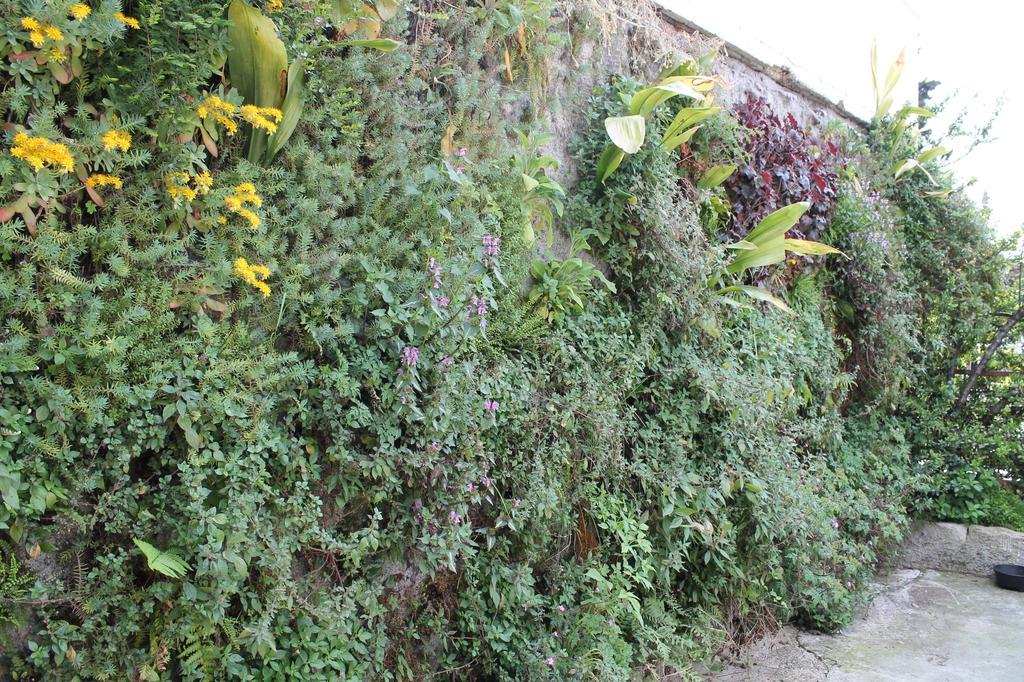 Guesthouse Toticevi リエカ 部屋 写真